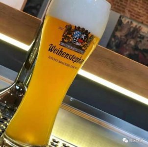​关于德国啤酒简短的介绍  德国保拉纳啤酒介绍